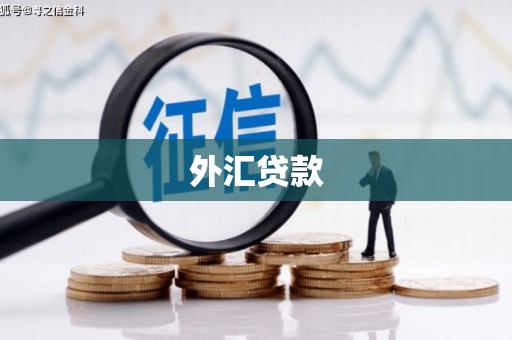 涡阳外汇贷款