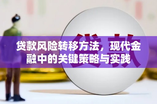 涡阳贷款风险转移方法，现代金融中的关键策略与实践