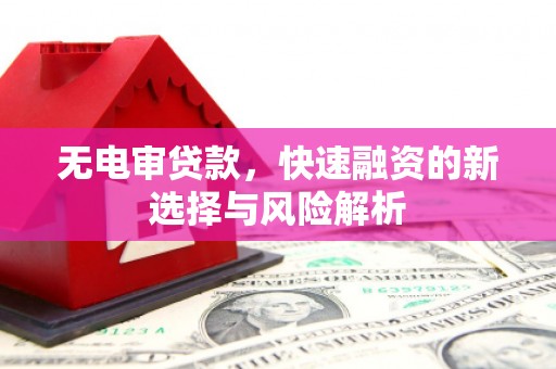 涡阳无电审贷款，快速融资的新选择与风险解析