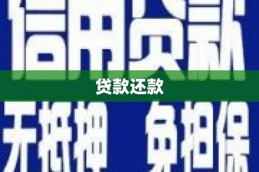 涡阳贷款还款