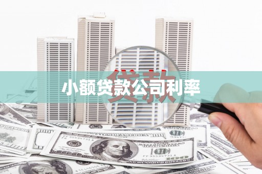 涡阳小额贷款公司利率