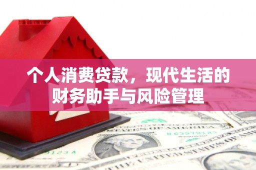 涡阳个人消费贷款，现代生活的财务助手与风险管理