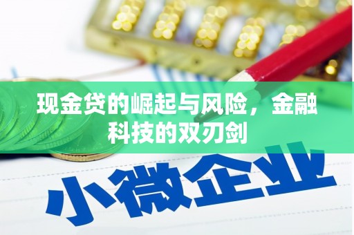 涡阳现金贷的崛起与风险，金融科技的双刃剑