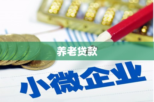 涡阳养老贷款