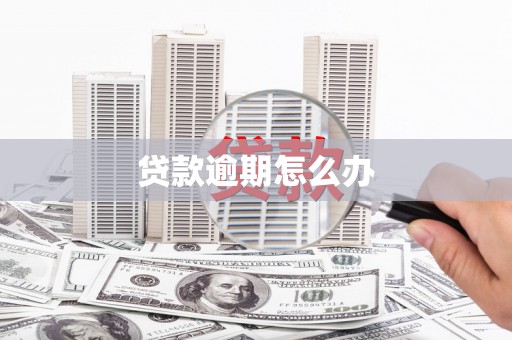 涡阳贷款逾期怎么办