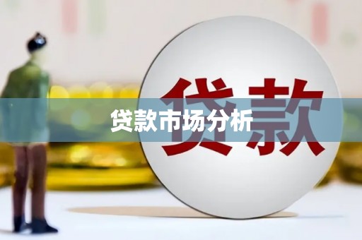 涡阳贷款市场分析