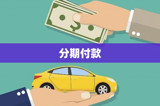 涡阳分期付款