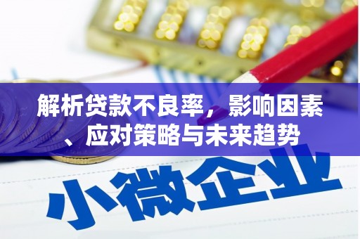 涡阳解析贷款不良率，影响因素、应对策略与未来趋势