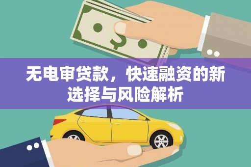 涡阳无电审贷款，快速融资的新选择与风险解析