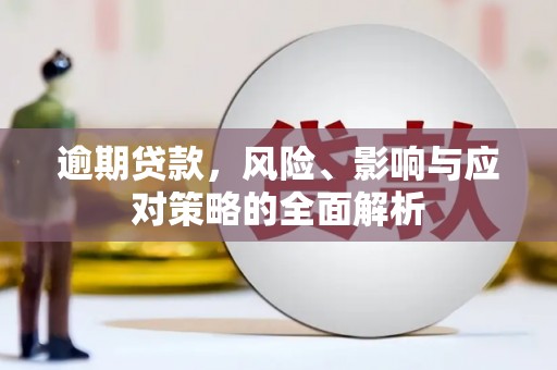 涡阳逾期贷款，风险、影响与应对策略的全面解析