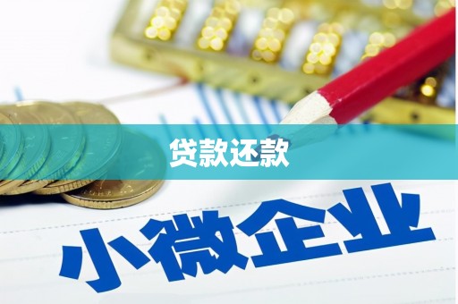 涡阳贷款还款