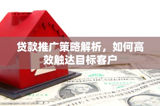 涡阳贷款推广策略解析，如何高效触达目标客户