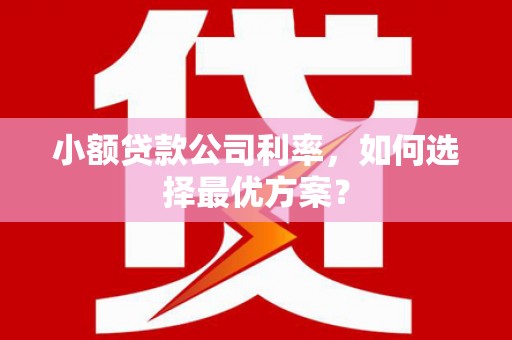 涡阳小额贷款公司利率，如何选择最优方案？