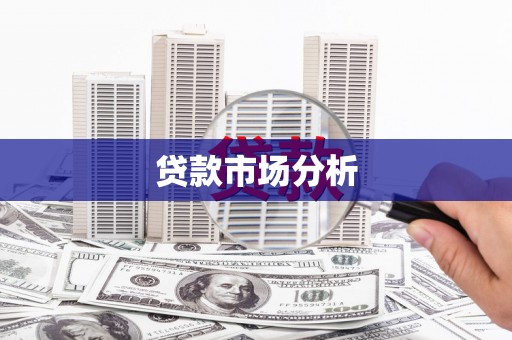 涡阳贷款市场分析