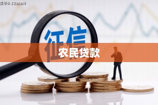 涡阳农民贷款