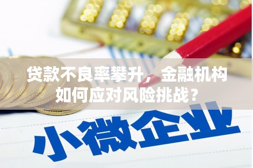 涡阳贷款不良率攀升，金融机构如何应对风险挑战？