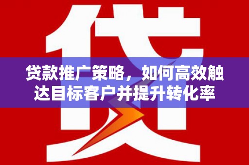 涡阳贷款推广策略，如何高效触达目标客户并提升转化率