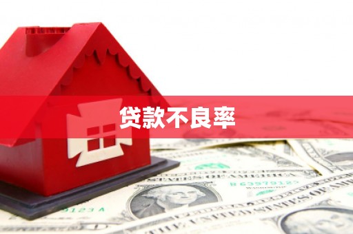 涡阳贷款不良率