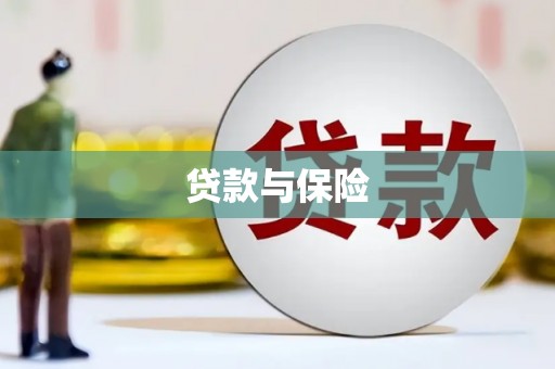 涡阳贷款与保险