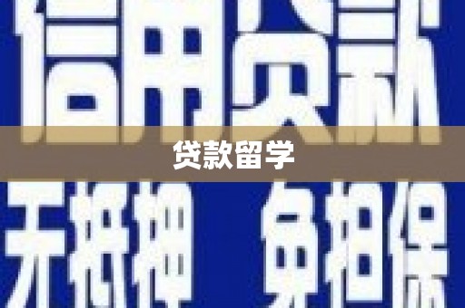 涡阳贷款留学
