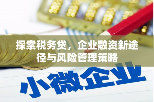 涡阳探索税务贷，企业融资新途径与风险管理策略