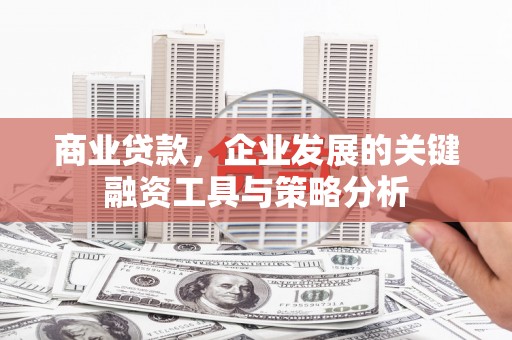 涡阳商业贷款，企业发展的关键融资工具与策略分析