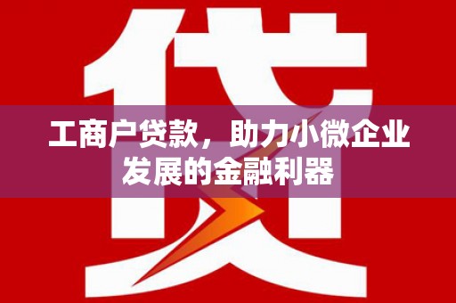 涡阳工商户贷款，助力小微企业发展的金融利器