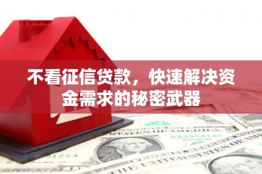 涡阳不看征信贷款，快速解决资金需求的秘密武器