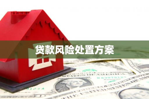 涡阳贷款风险处置方案