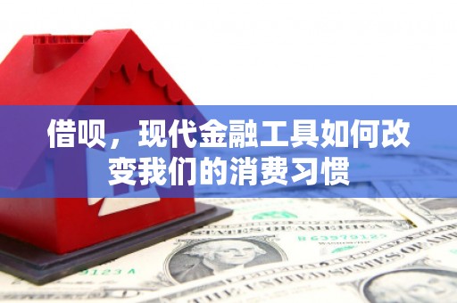 涡阳借呗，现代金融工具如何改变我们的消费习惯
