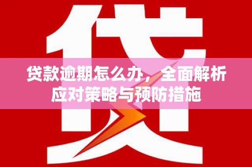 涡阳贷款逾期怎么办，全面解析应对策略与预防措施