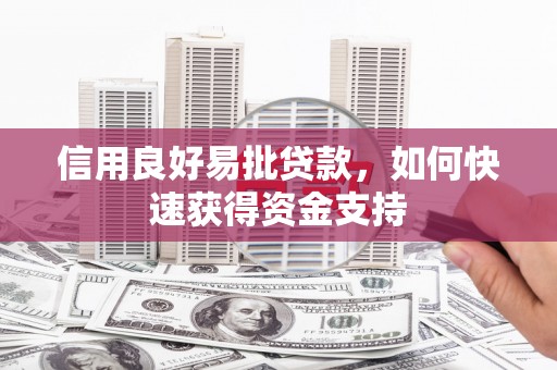 涡阳信用良好易批贷款，如何快速获得资金支持
