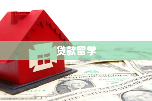 涡阳贷款留学