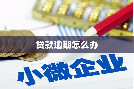 涡阳贷款逾期怎么办