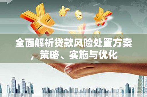 涡阳全面解析贷款风险处置方案，策略、实施与优化