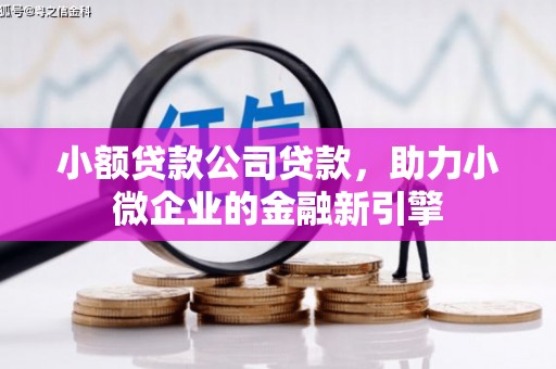 涡阳小额贷款公司贷款，助力小微企业的金融新引擎