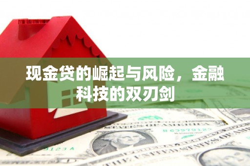 涡阳现金贷的崛起与风险，金融科技的双刃剑