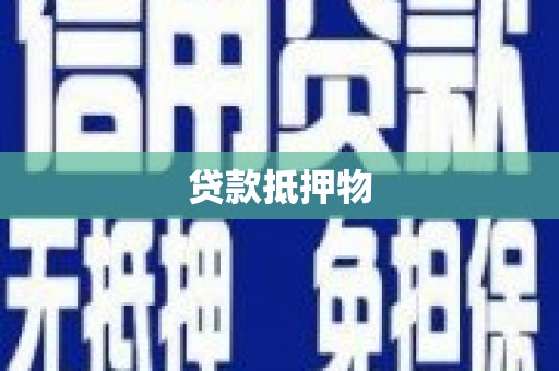 涡阳贷款抵押物