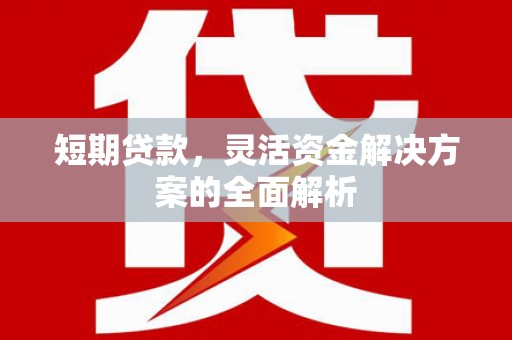 涡阳短期贷款，灵活资金解决方案的全面解析
