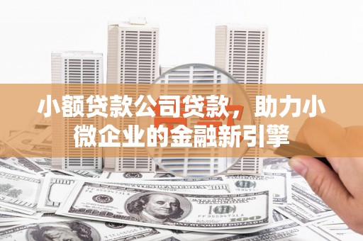 涡阳小额贷款公司贷款，助力小微企业的金融新引擎