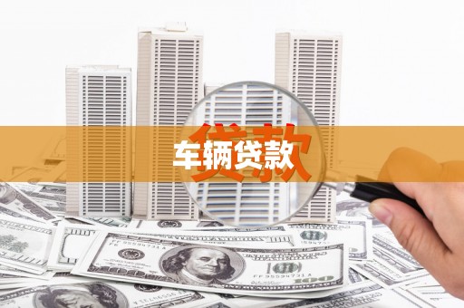 涡阳车辆贷款