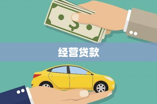 涡阳经营贷款