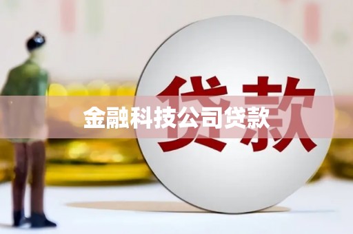 涡阳金融科技公司贷款