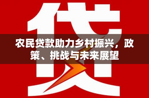 涡阳农民贷款助力乡村振兴，政策、挑战与未来展望