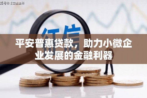 涡阳平安普惠贷款，助力小微企业发展的金融利器