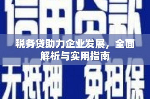涡阳税务贷助力企业发展，全面解析与实用指南