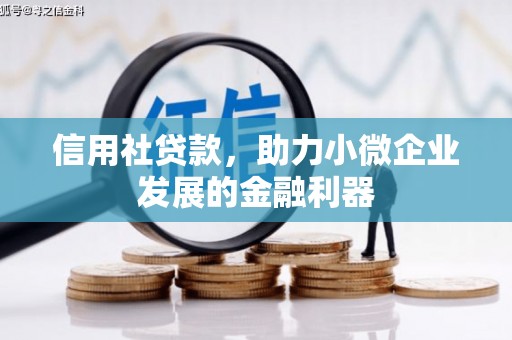 涡阳信用社贷款，助力小微企业发展的金融利器