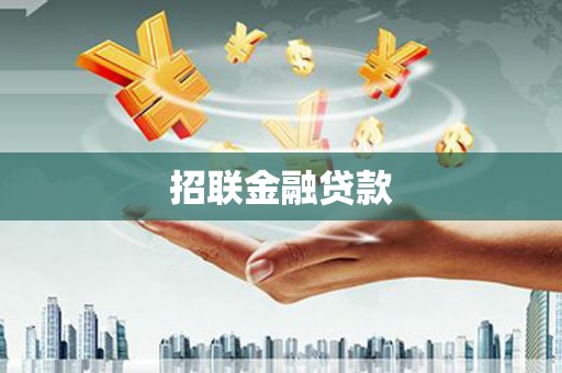 涡阳招联金融贷款