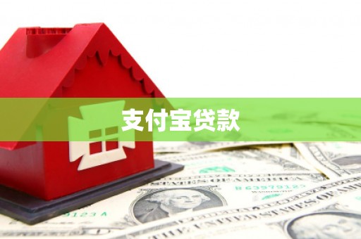涡阳支付宝贷款