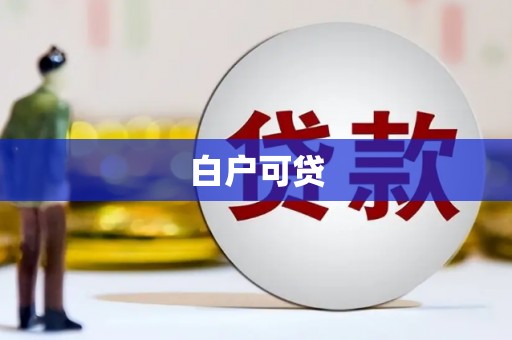涡阳白户可贷